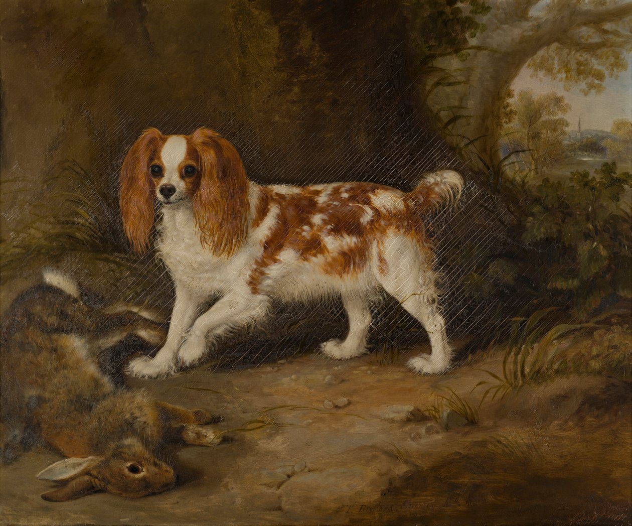Španěl s mrtvým zajícem, kolem 1822-74 (olej na plátně) od Thomas W. Bretland