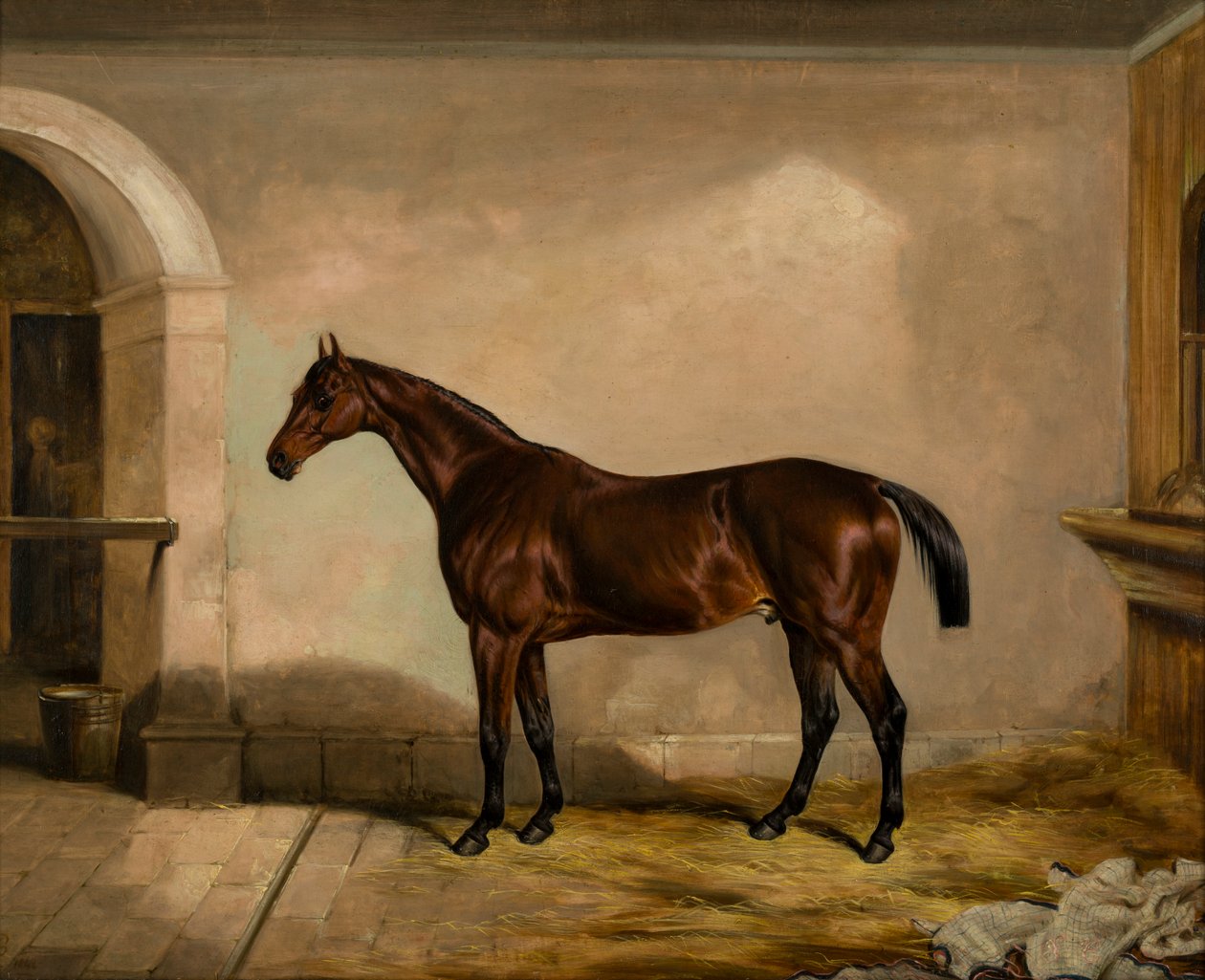 Teddy the Tiler: A Horse, kolem roku 1842 (olej na plátně) od Thomas W. Bretland