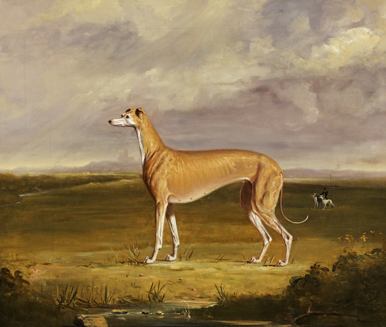 The Greyhound, cca 1830 (olej na plátně) od Thomas W. Bretland