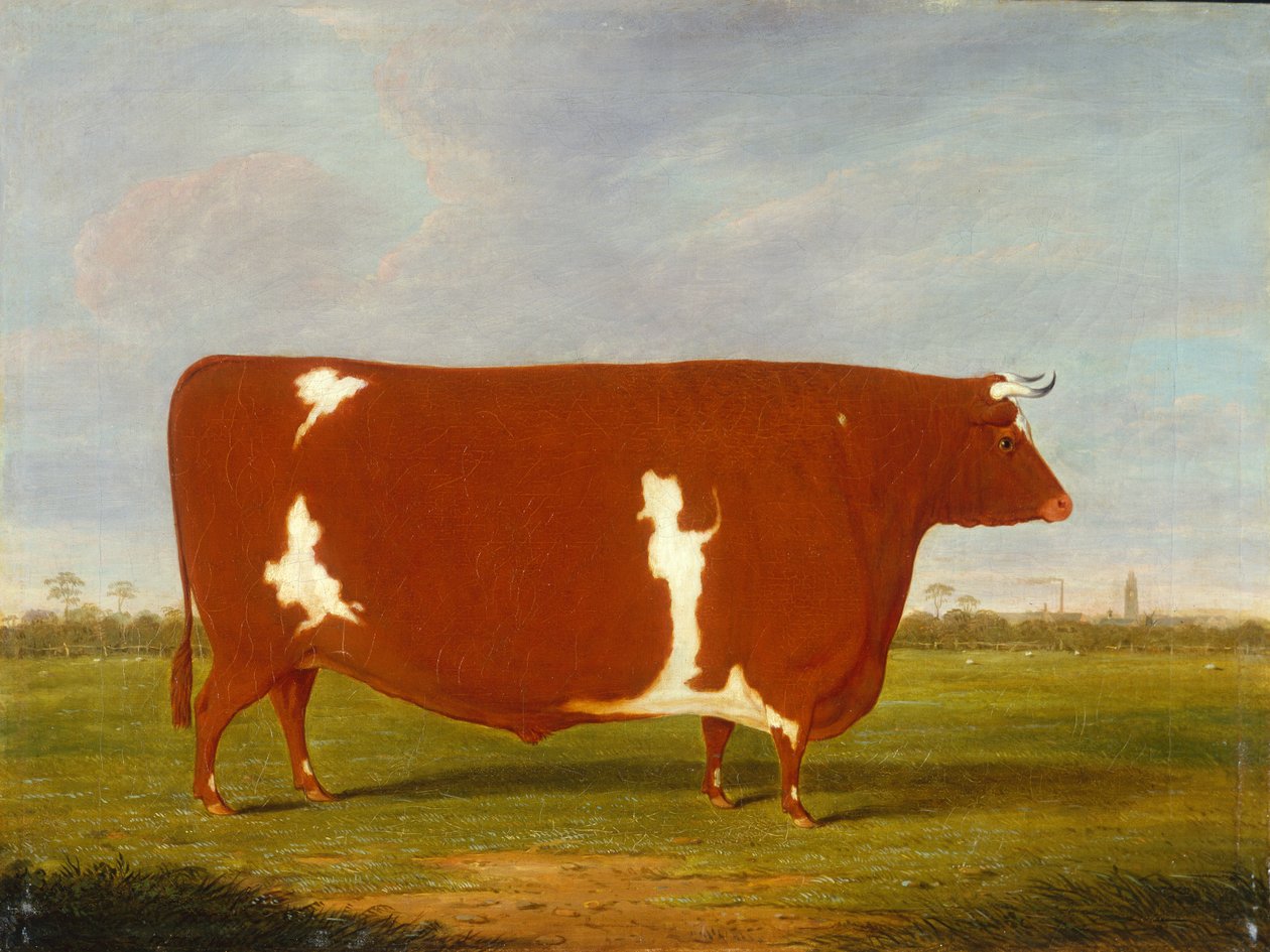 Cena Bull stojící v krajině od Thomas Weaver