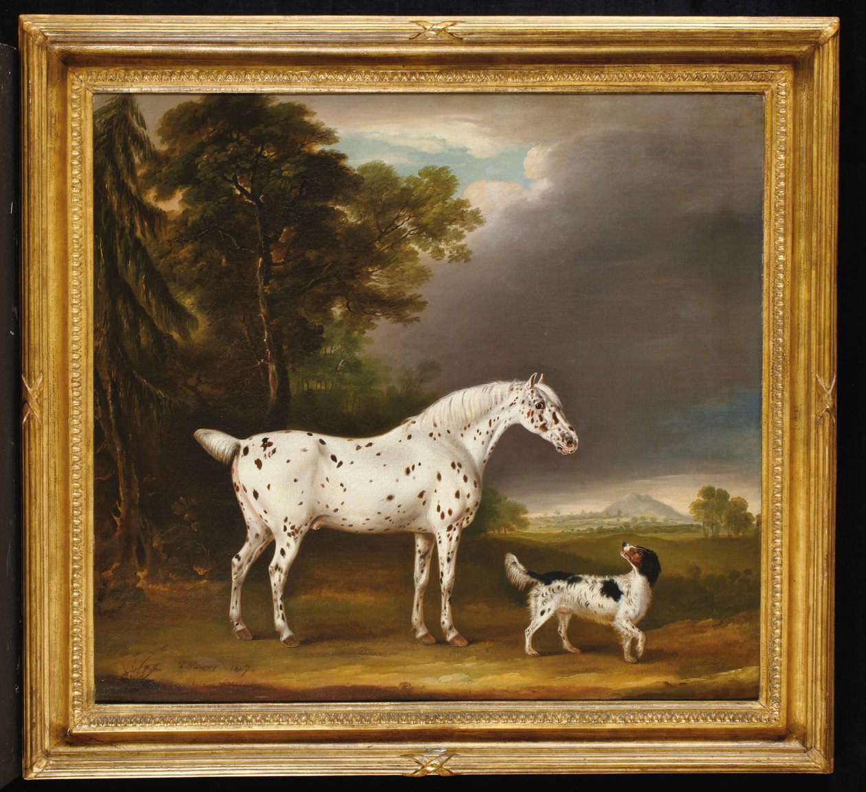 Appaloosa Kůň a španěl, 1807 od Thomas Weaver