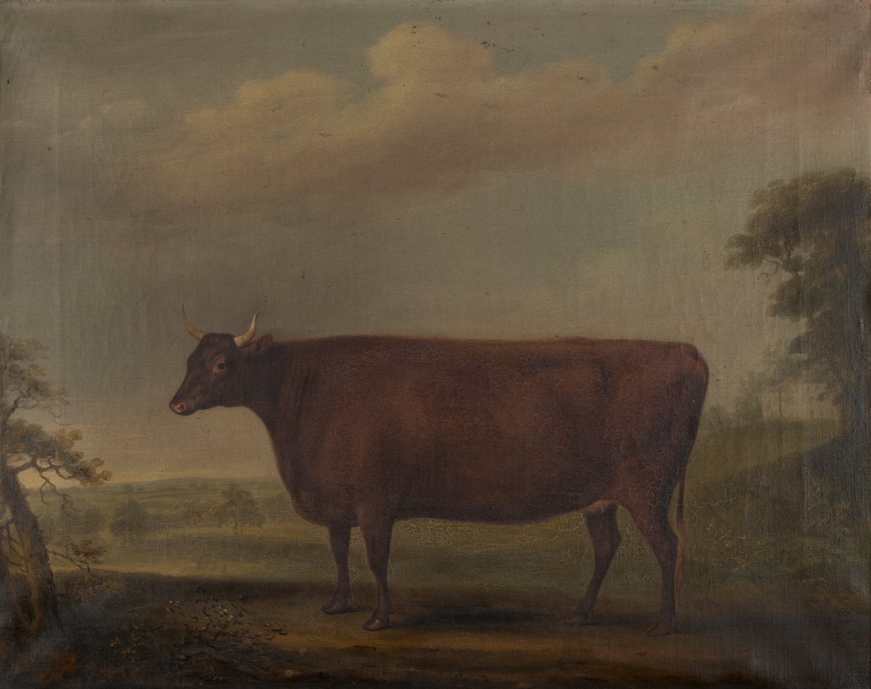 Red Devon Heifers in landscape, c.1812 (olej na plátně) od Thomas Weaver