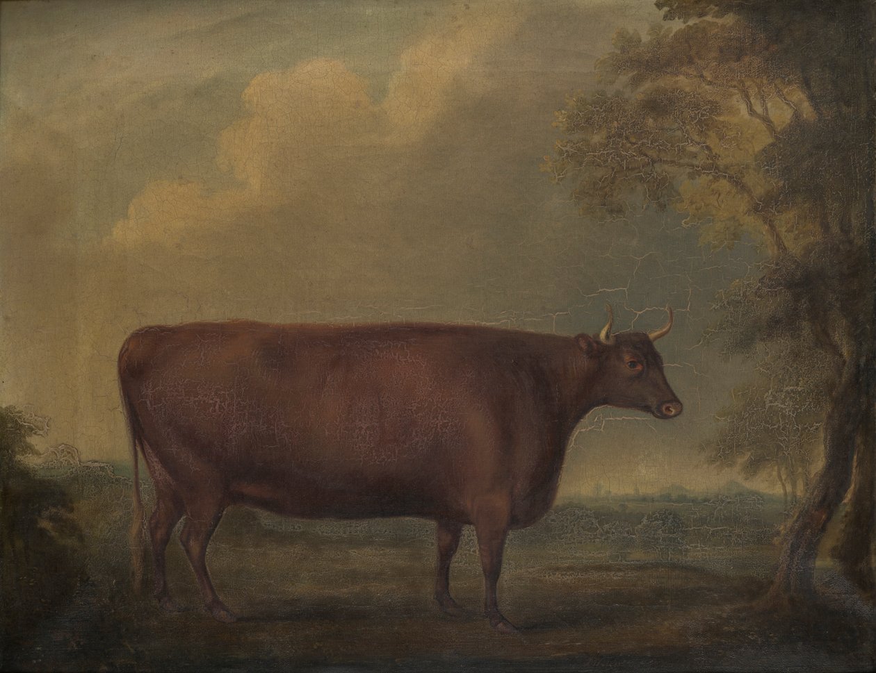 Red Devon Heifers in landscape, c.1812 (olej na plátně) od Thomas Weaver
