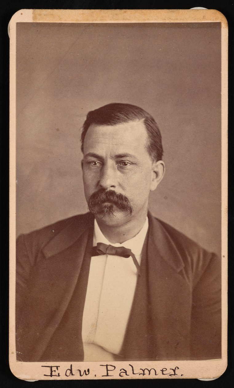 Portrét Edwarda Palmera 1829-1911, před rokem 1900. od Thomas William Smillie