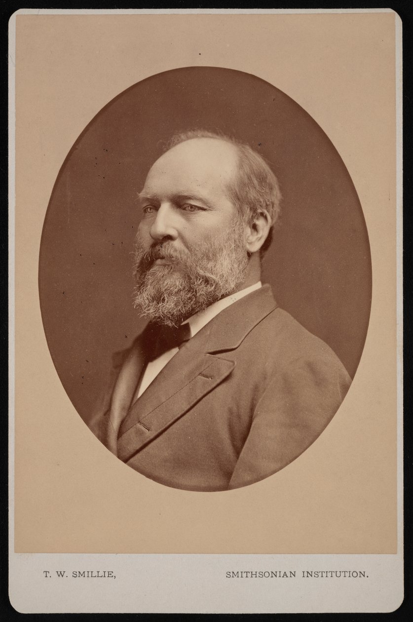 Portrét Jamese Abrama Garfielda 1831-1881, červen 1880. od Thomas William Smillie