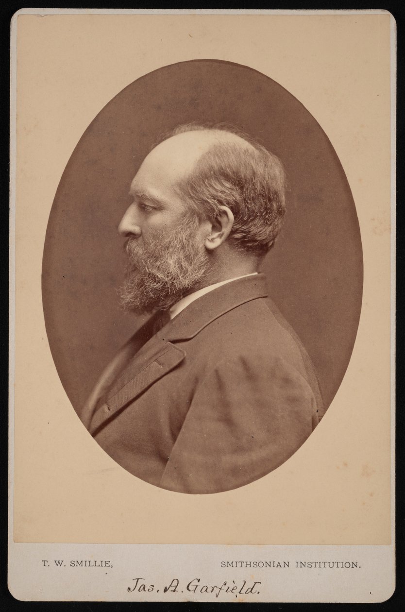 Portrét Jamese Abrama Garfielda 1831-1881, červen 1880. od Thomas William Smillie