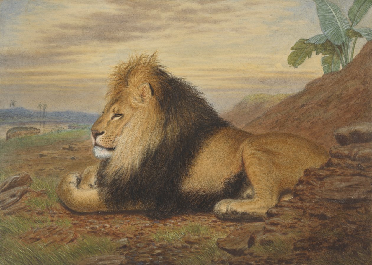 Lev od Thomas William Wood