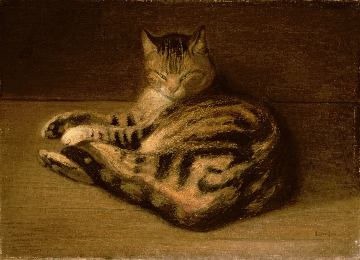 Ležící kočka, 1898 od Théophile Alexandre Steinlen