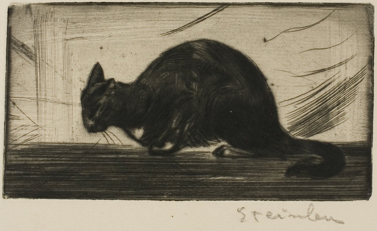 Kočka se prohýbá v oblouku od Théophile Alexandre Pierre Steinlen
