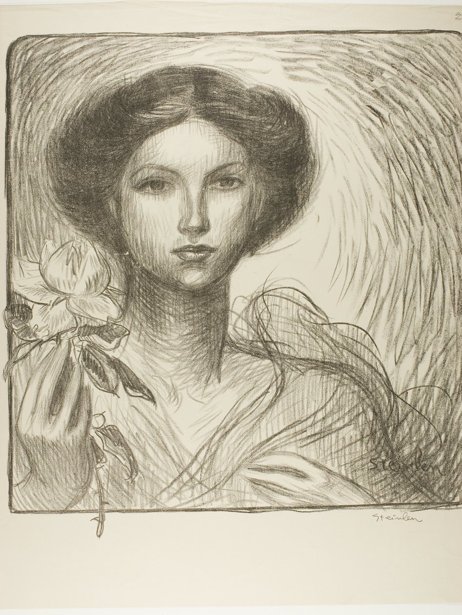 Výstava francouzského umění v Krefeldu od Théophile Alexandre Pierre Steinlen