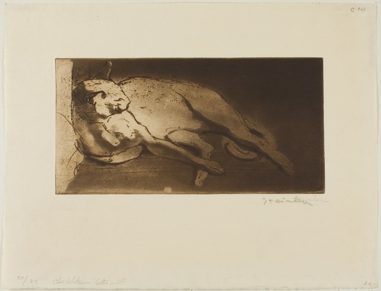 Ležící kočka natažená zleva doprava od Théophile Alexandre Pierre Steinlen