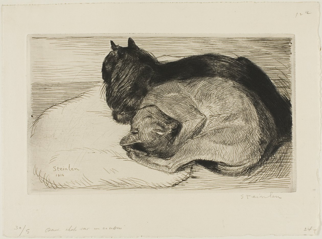 Dvě kočky na polštáři od Théophile Alexandre Pierre Steinlen