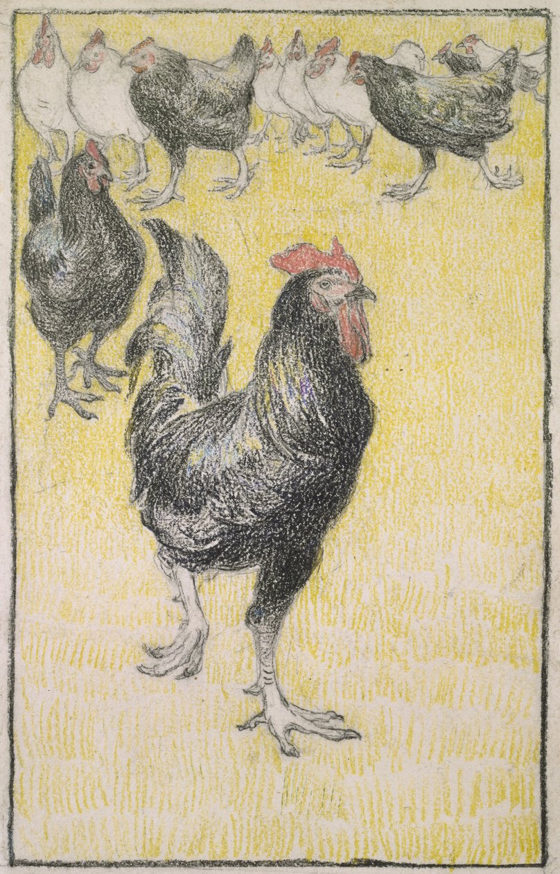 Kohout, následovaný černobílými slepicemi (grafit s černou a barevnou křídou na bílém papíře, ohraničený černou křídou) od Théophile Alexandre Steinlen