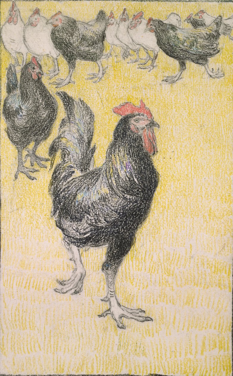 Kohout, následovaný černobílými slepicemi, 1899 od Théophile Alexandre Steinlen