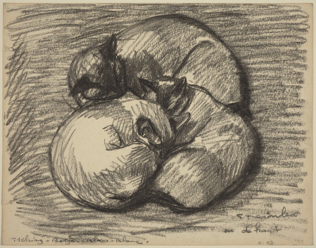 Kočky: Tsching, Batzar a Blanc-Blanc od Théophile Alexandre Steinlen