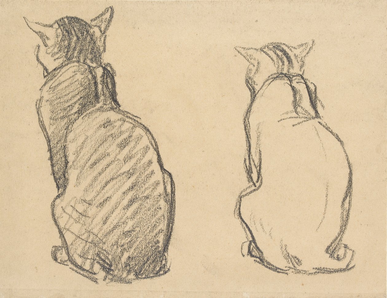 Dvě studie kočky, počátek 20. století od Théophile Alexandre Steinlen