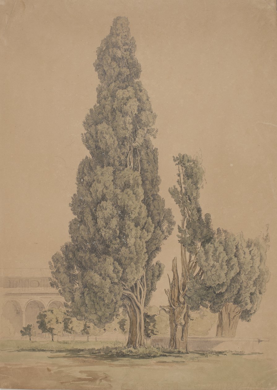 Cypřiše od Thorald Brendstrup