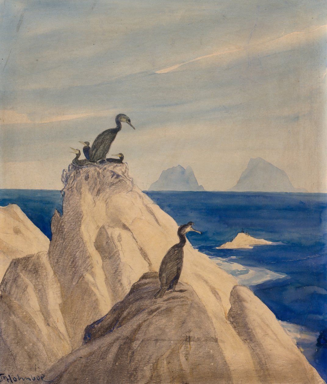 Northern Gannets (tužka a akvarel na papíře) od Thorolf Holmboe