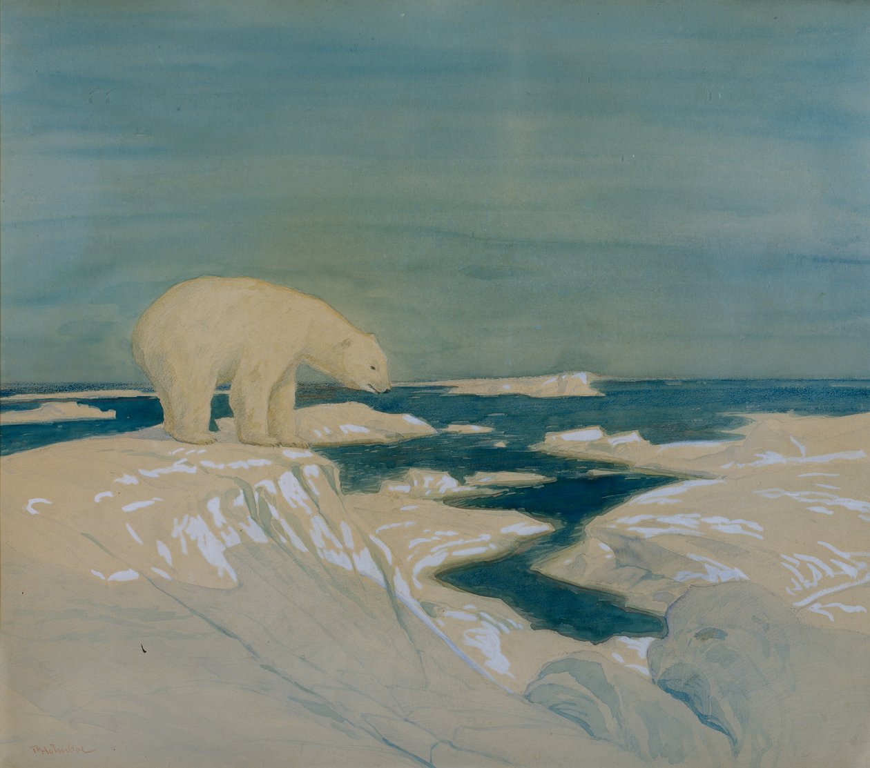 Lední medvěd (akvarel na papíře) od Thorolf Holmboe