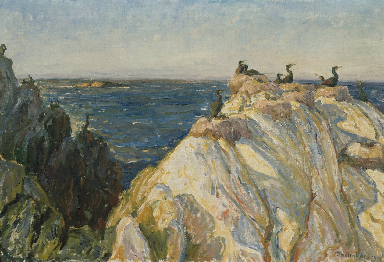 Mořský pták od Thorolf Holmboe
