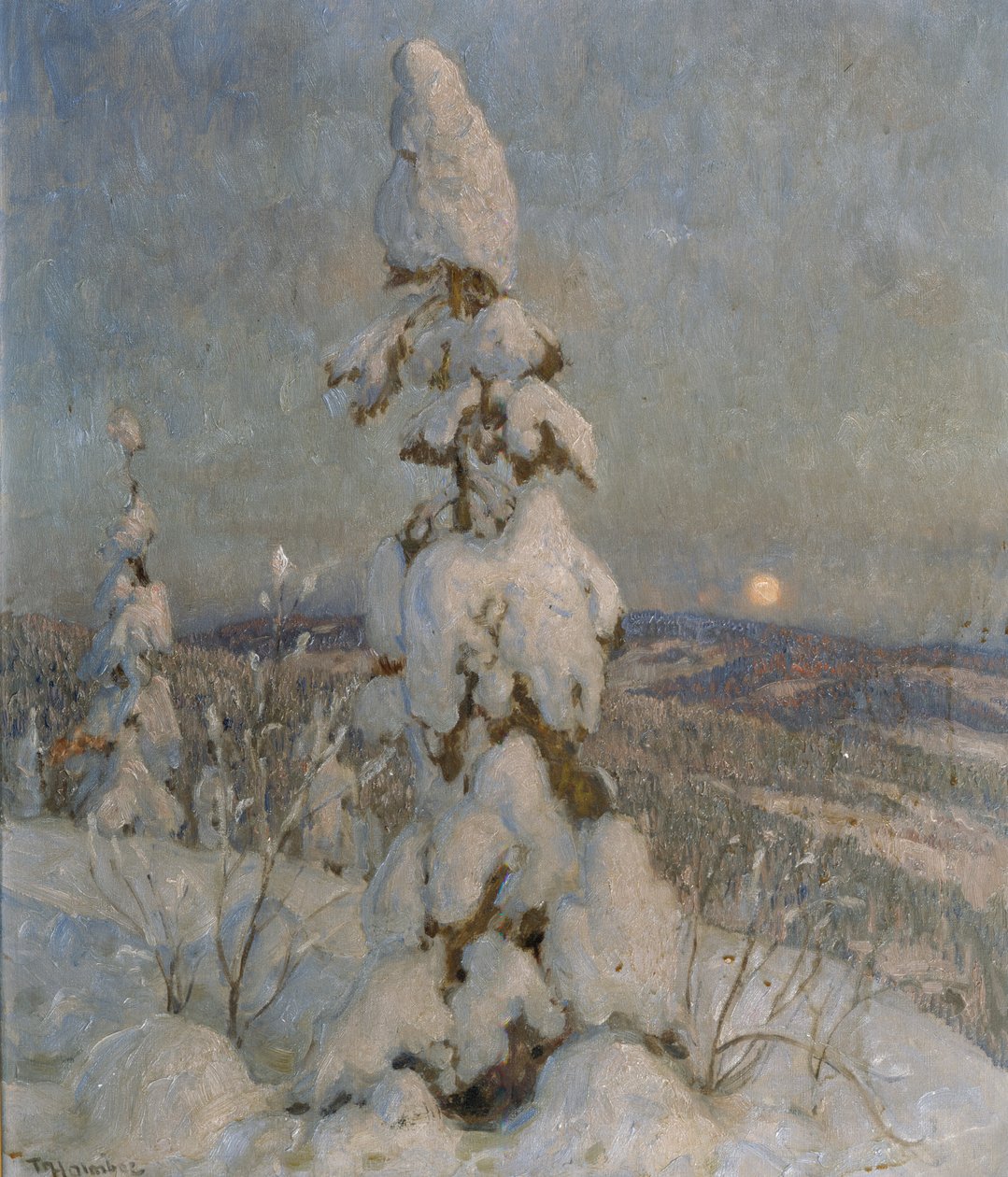 Zasněžený smrk v měsíčním světle (olej na plátně) od Thorolf Holmboe