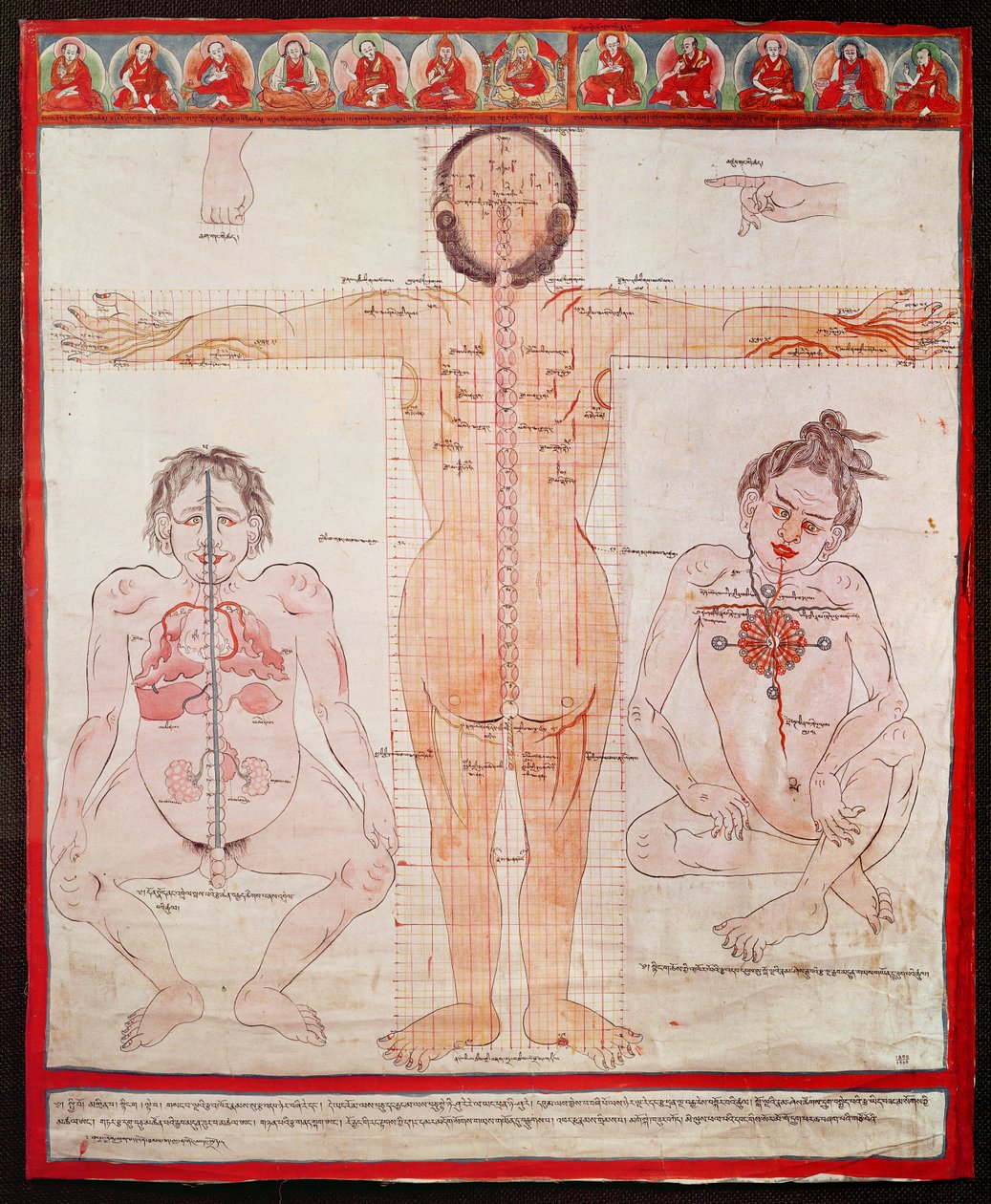 Anatomical Chart, 1938 (pero a akvarel na plátně položeném na plátně) od Tibetan School