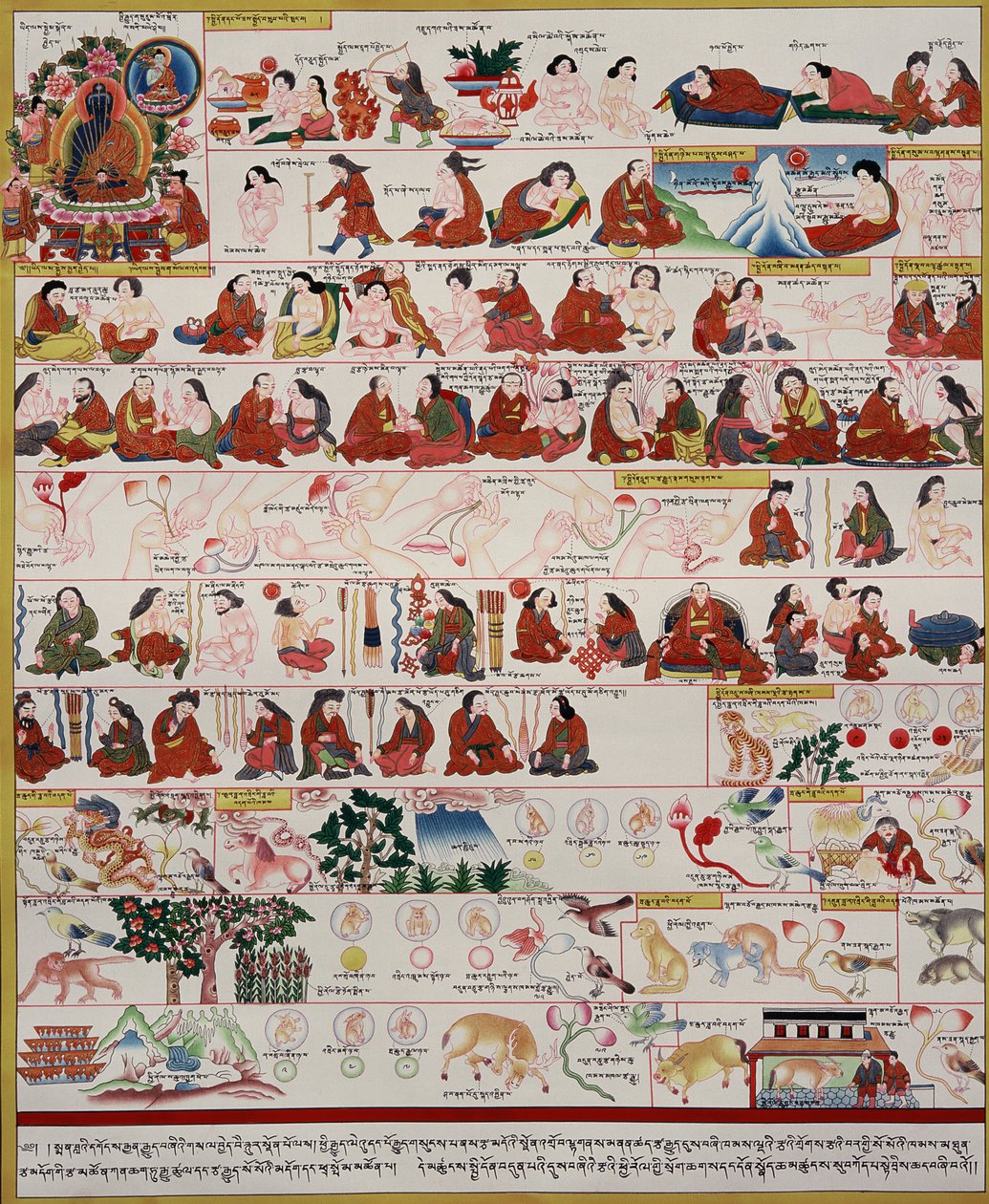 Rukopis o tibetské medicíně od Tibetan School