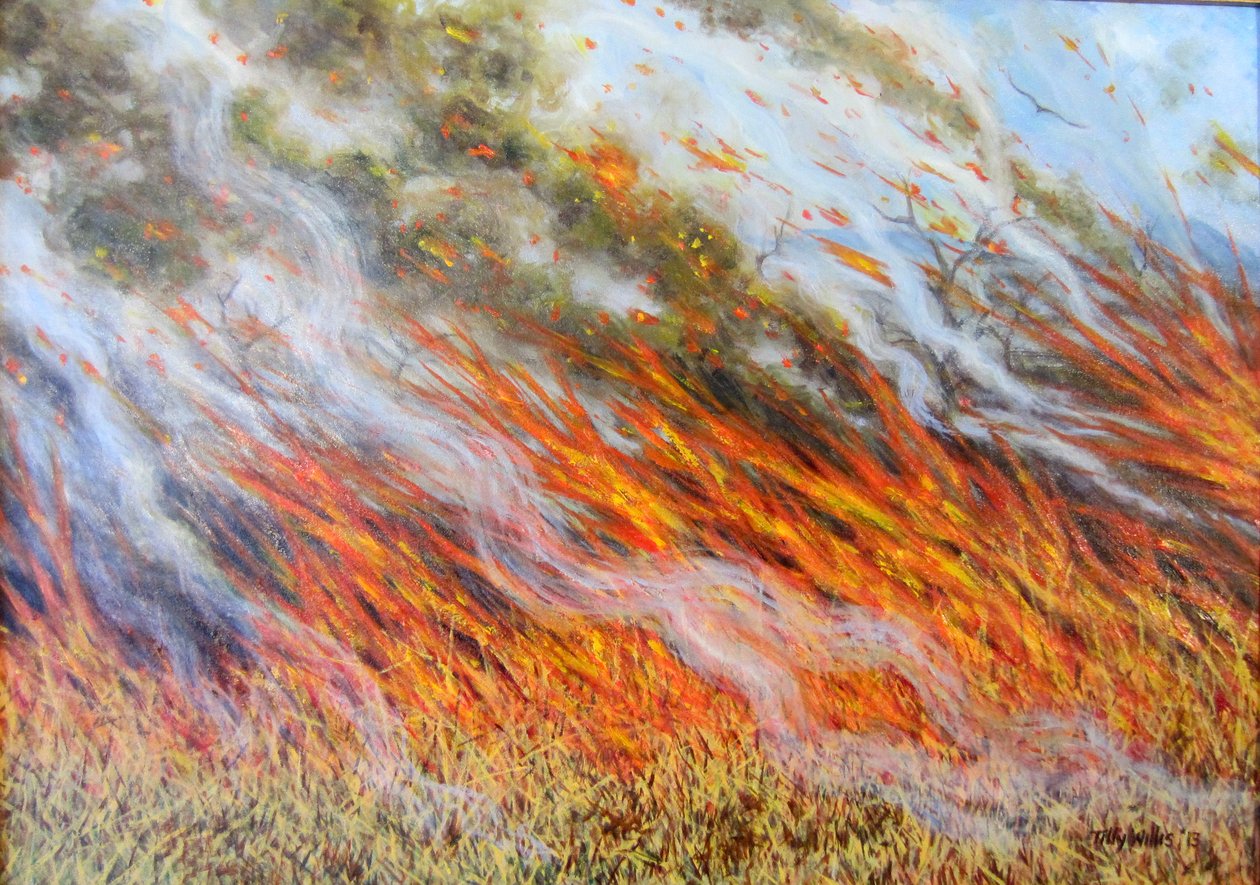 Bushfire Inferno, 2014, od Tilly Willis