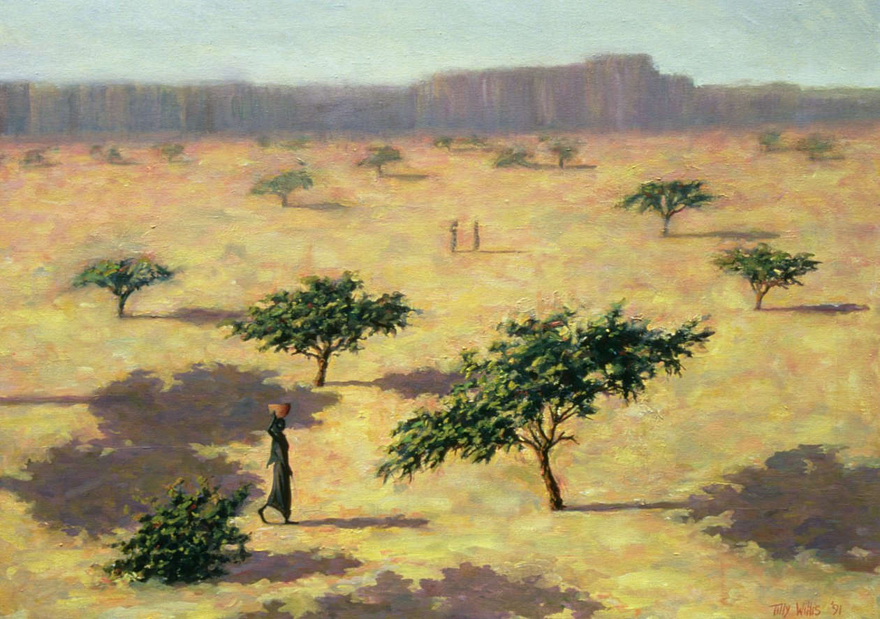Sahelská krajina, Mali, 1991 od Tilly Willis