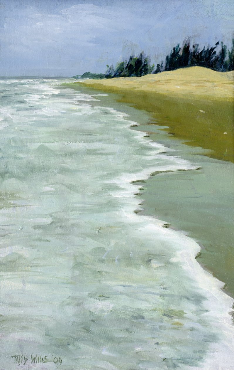 Pláž, 2004 od Tilly Willis