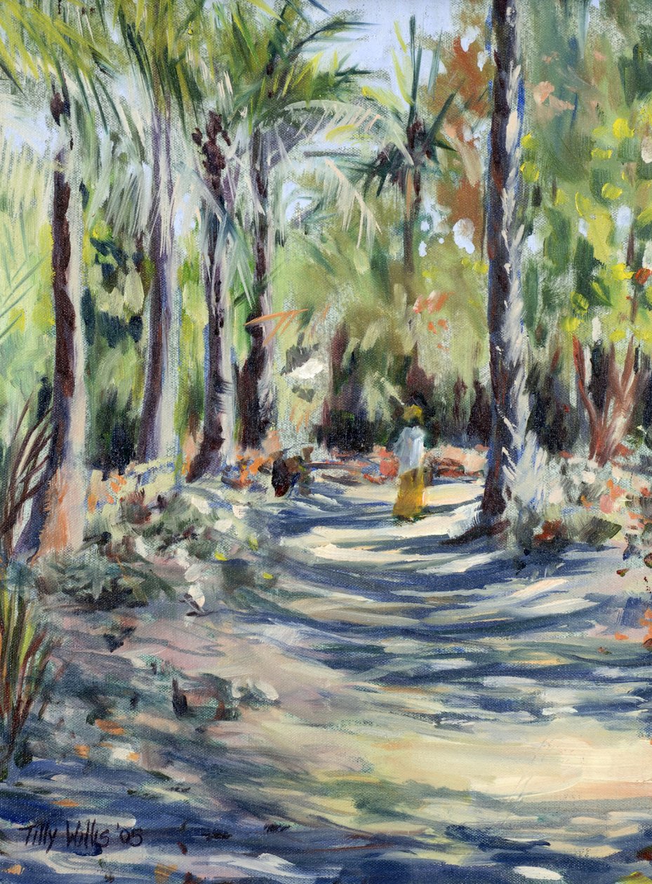 The Bush Road, 2005 od Tilly Willis