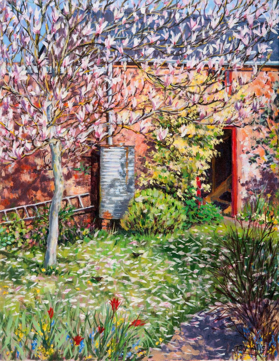 Pod Magnolií od Tilly Willis