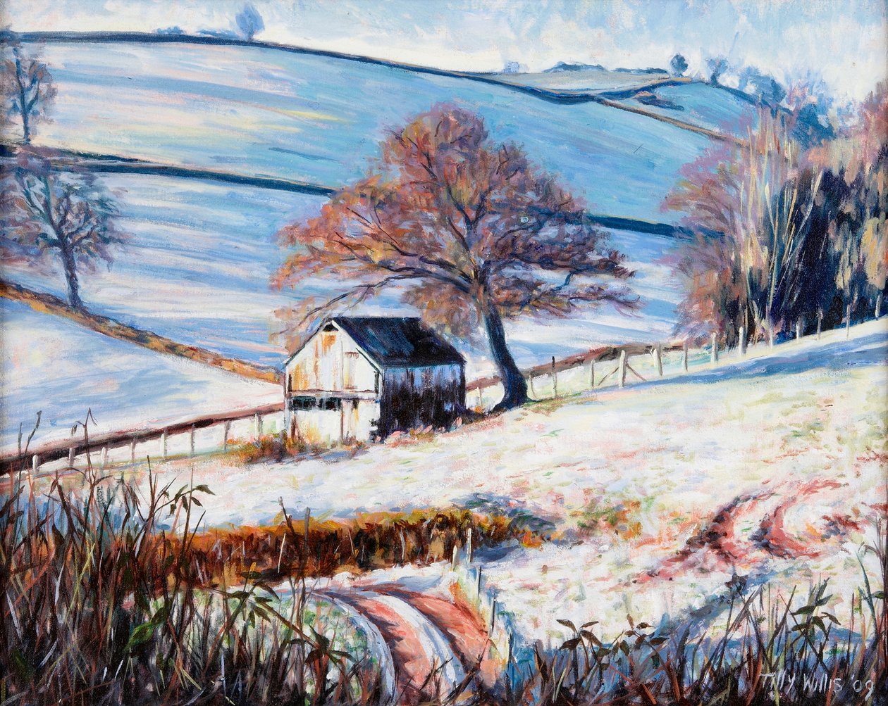 Zimní mráz, 2009 od Tilly Willis