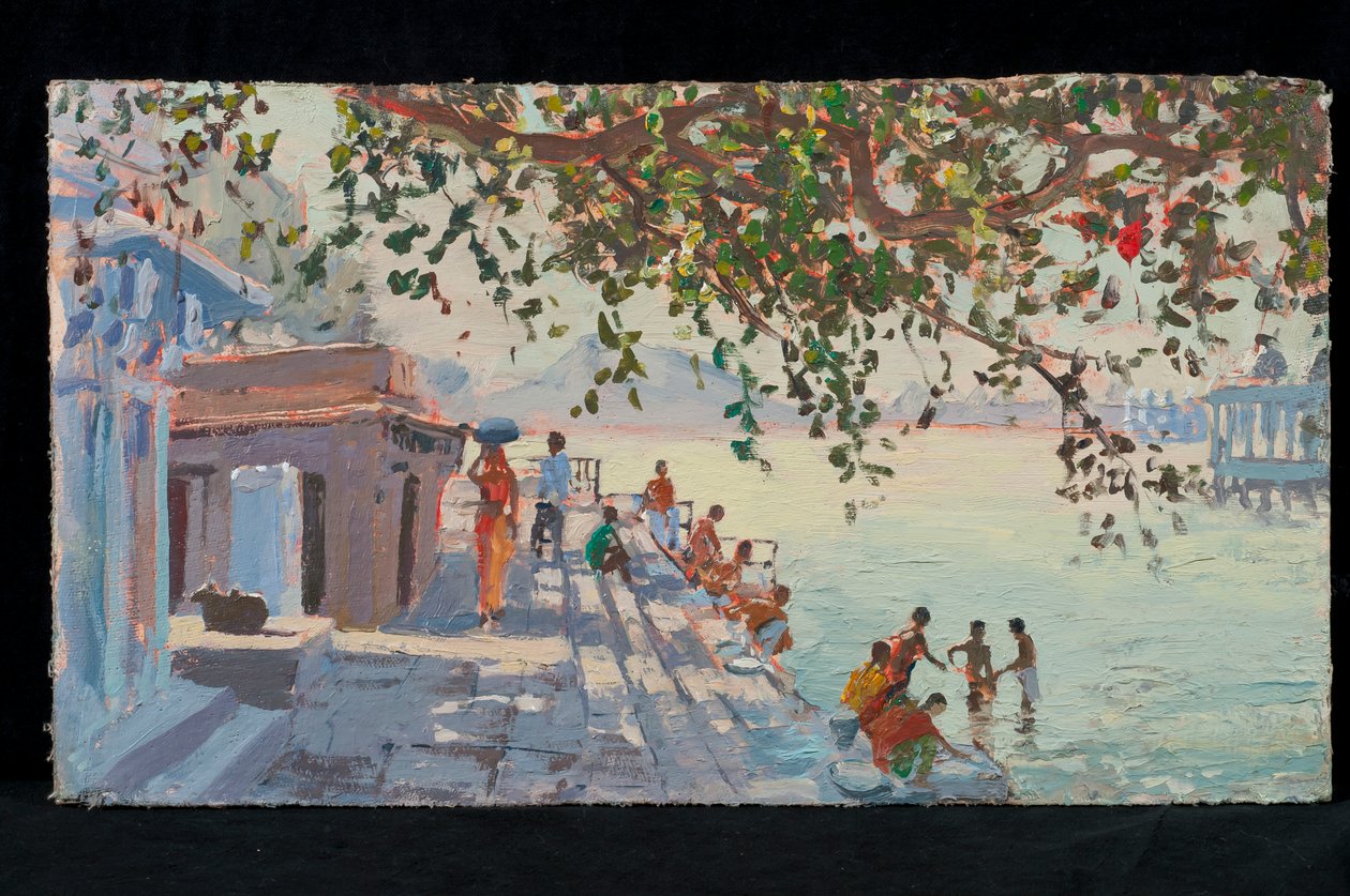 Koupání, Udaipur od Tim Scott Bolton