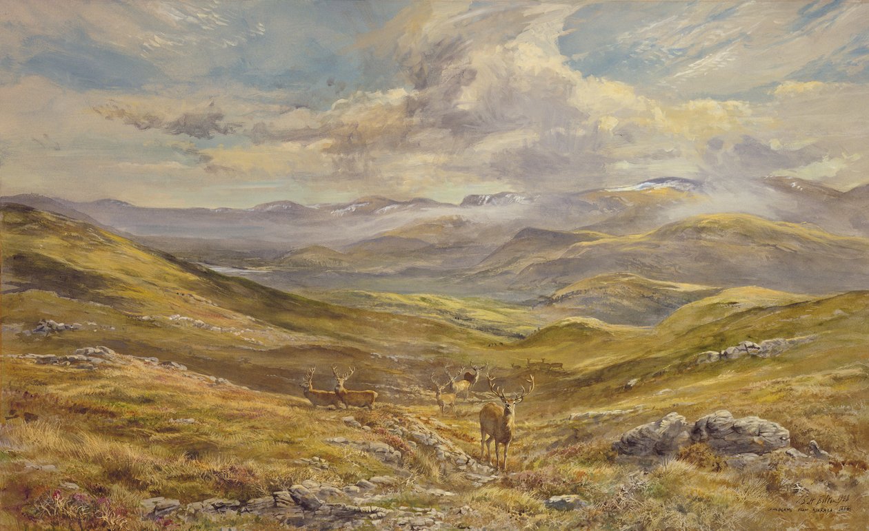Cairngorms z Kinrary, 1988 (wc) od Tim Scott Bolton