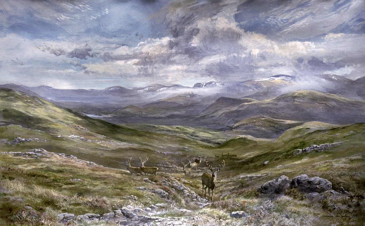 Kinrara, Aviemore, Skotsko, 1988 (wc na papíře) od Tim Scott Bolton