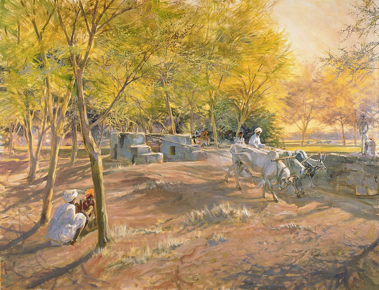 Working for Water, Rádžasthán, 1997 od Tim Scott Bolton