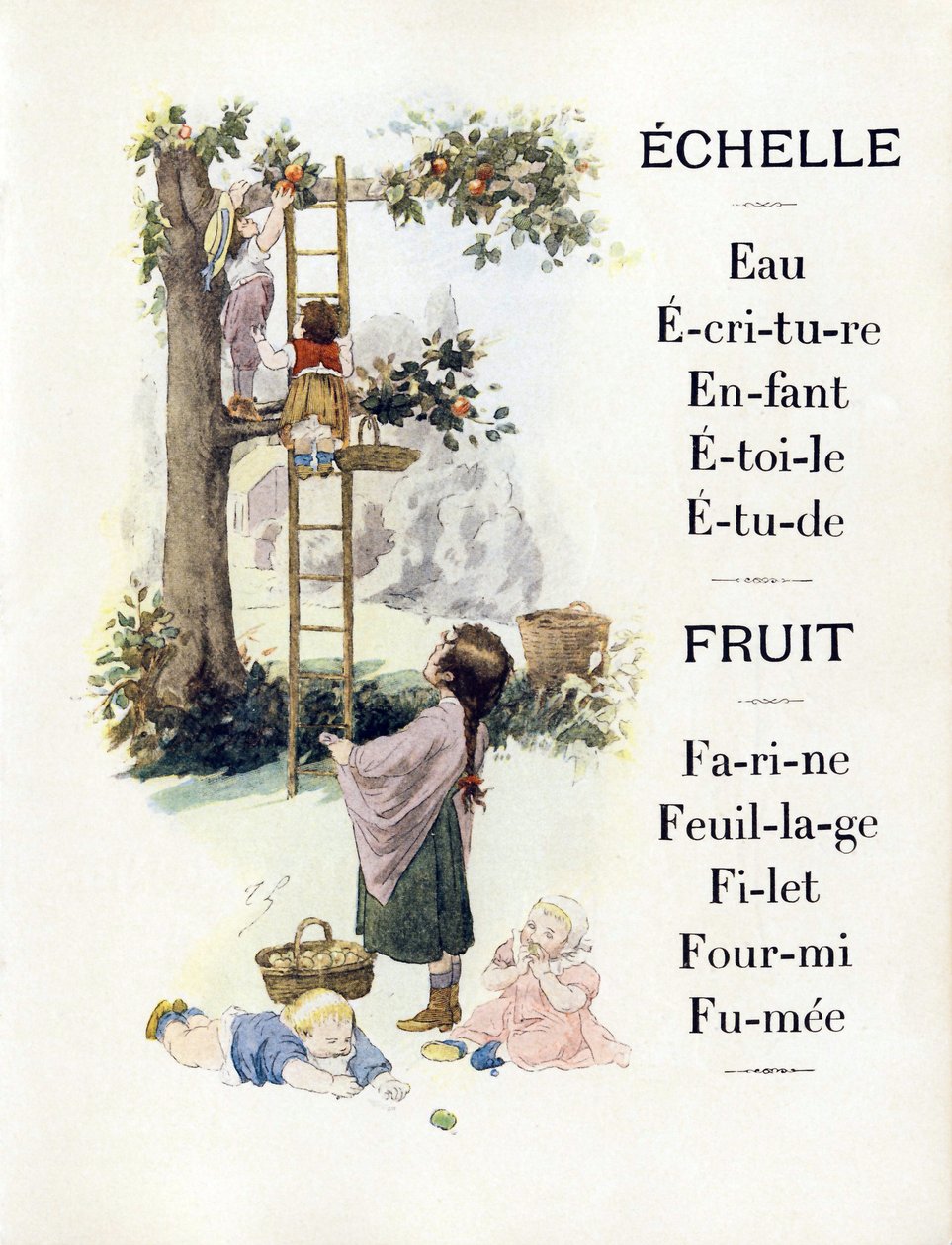 Písmena E a F představující děti pečící pomeranče, konec 19. století (chromolitograf) od Timoleon Marie Lobrichon