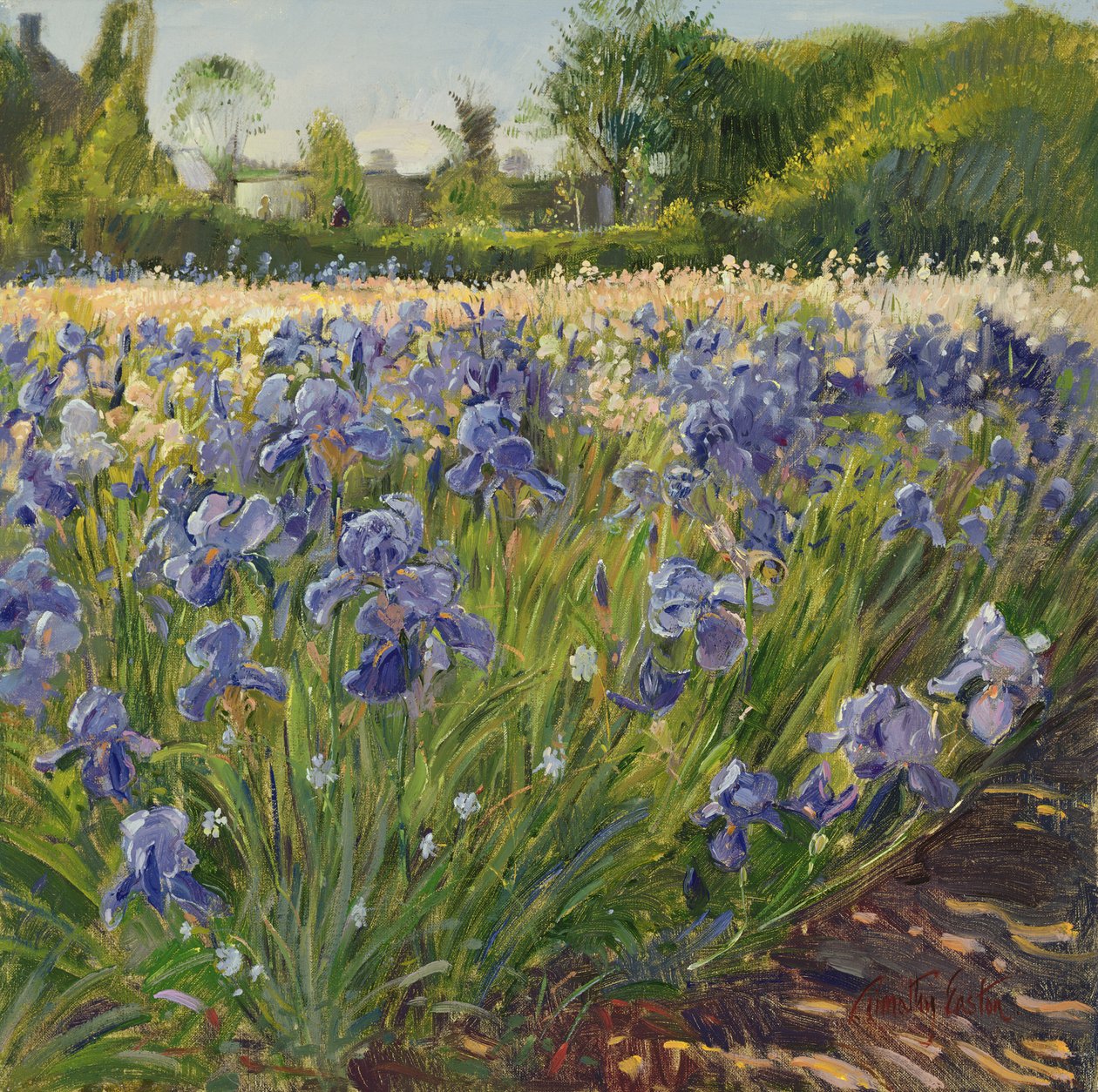 Nad modrými kosatci od Timothy Easton