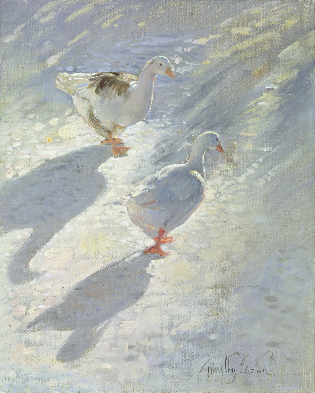 Proti svahu od Timothy Easton