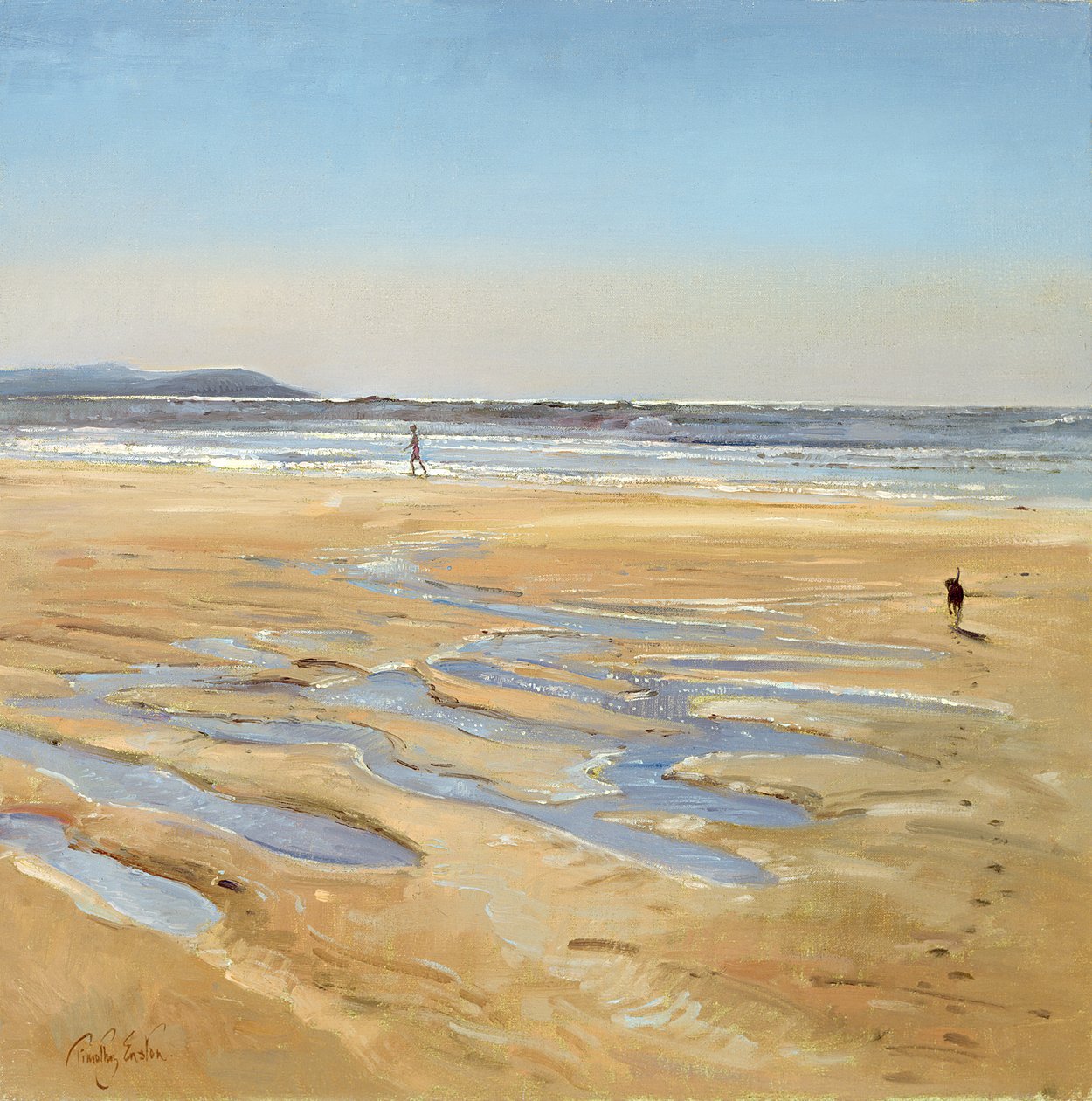 Plážové kočárky od Timothy Easton
