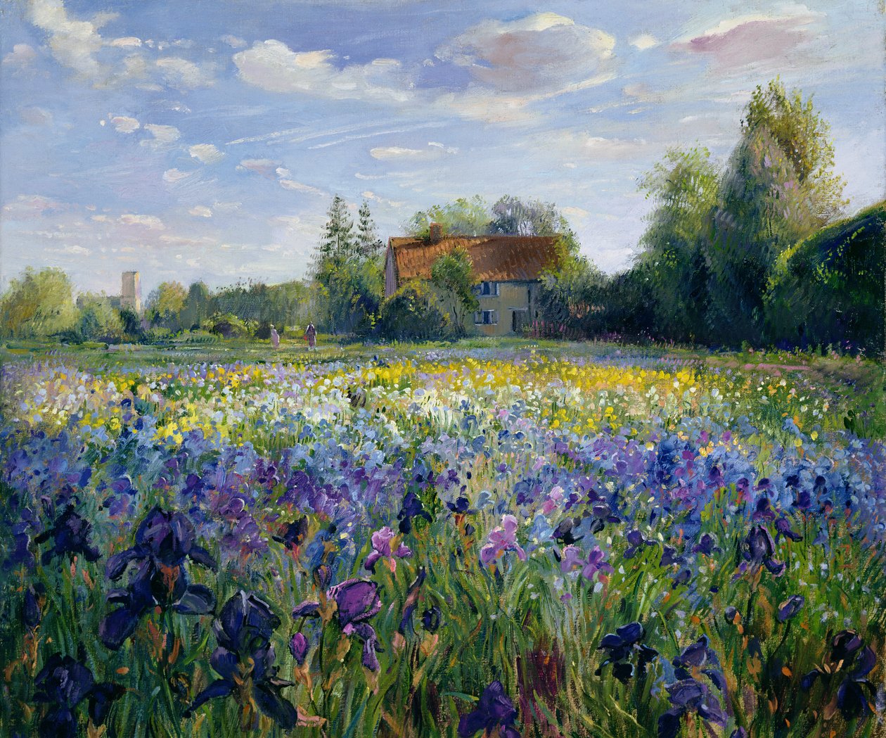 Večer v Irisovém poli od Timothy Easton