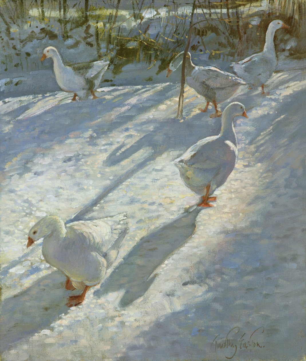 Průzkum Svahu od Timothy Easton
