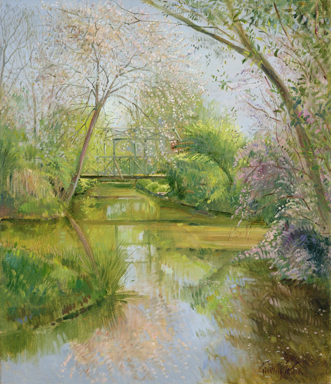 Plný květ od Timothy Easton