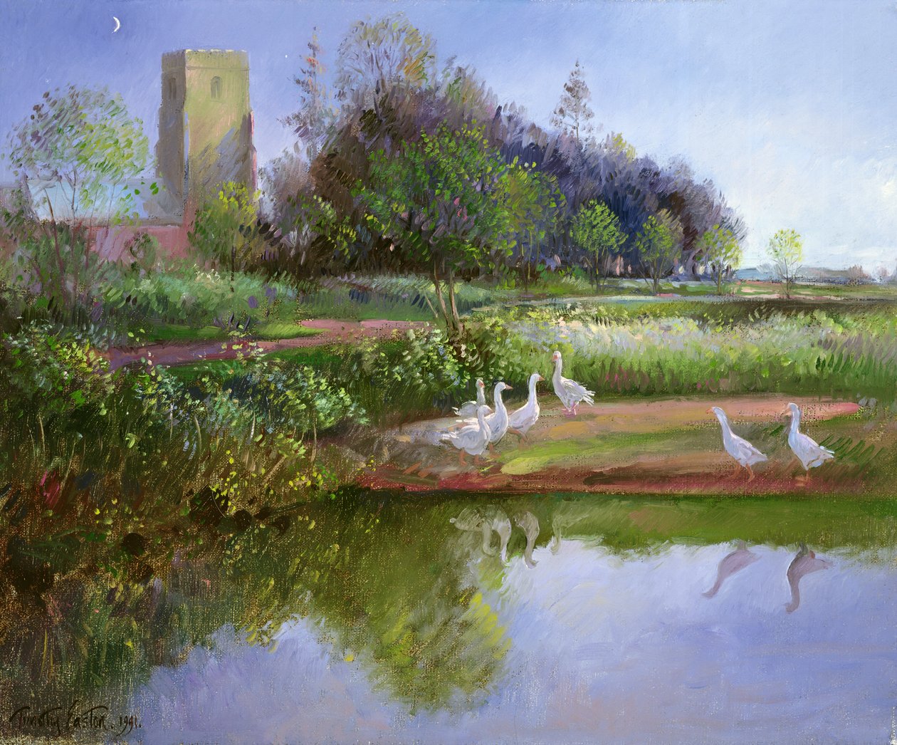 Husy při západu slunce, 1991 od Timothy Easton