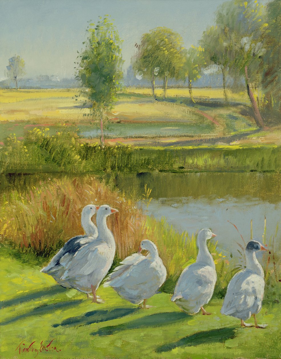 Husí stráž od Timothy Easton