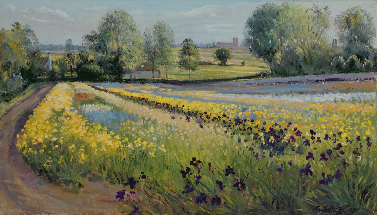 Iris Slope, 1991 od Timothy Easton
