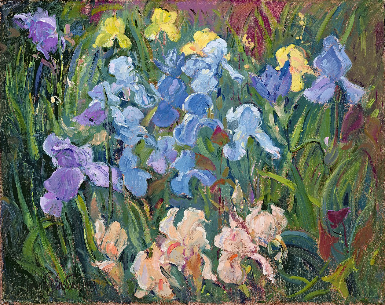 Irises: Pink, Blue and Gold, 1993 od Timothy Easton