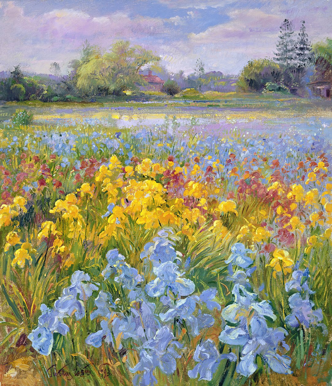 Kosatce, vrba a jedle, 1993 od Timothy Easton