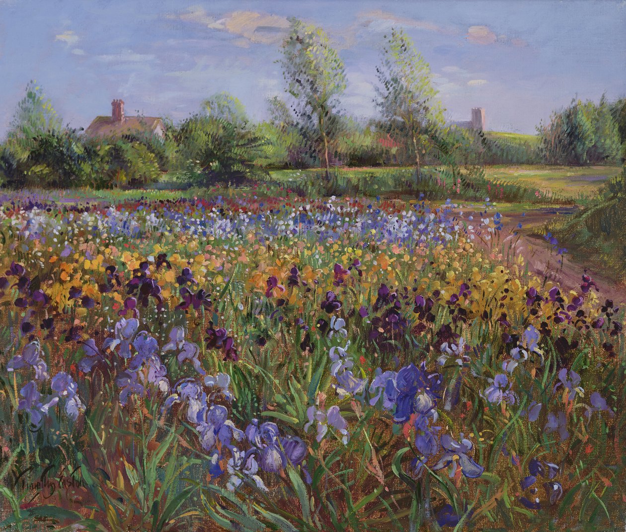 Kosatce a Burgate Green od Timothy Easton